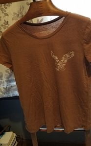 AEO pumpkin spice bird flight cotton t Large